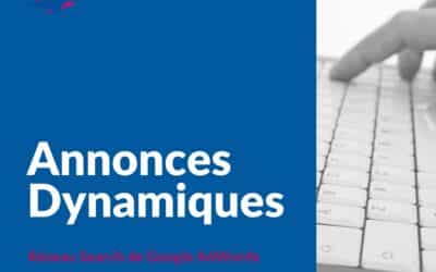 Les annonces Dynamiques d’AdWords sur le Search