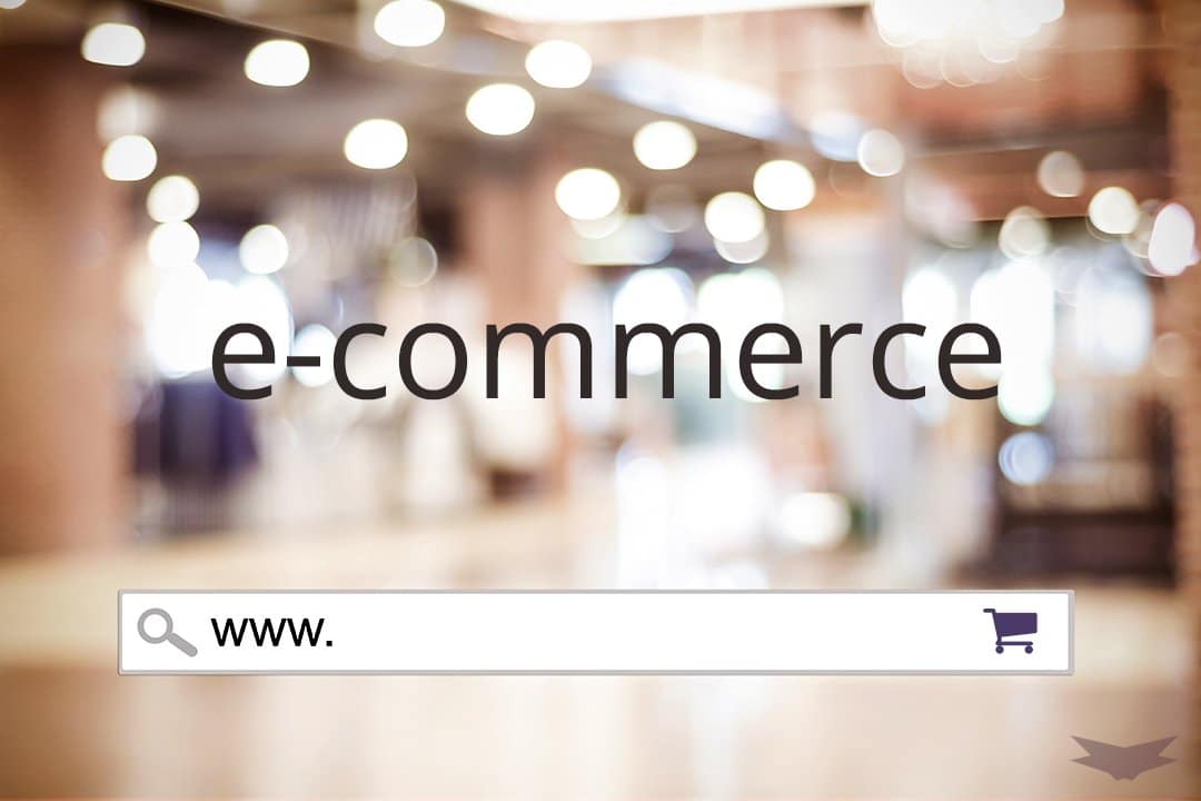 Les nouveautés et les informations pour les e-commerçants