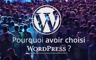 Pourquoi nous avons choisi WordPress pour développer nos sites internet ?