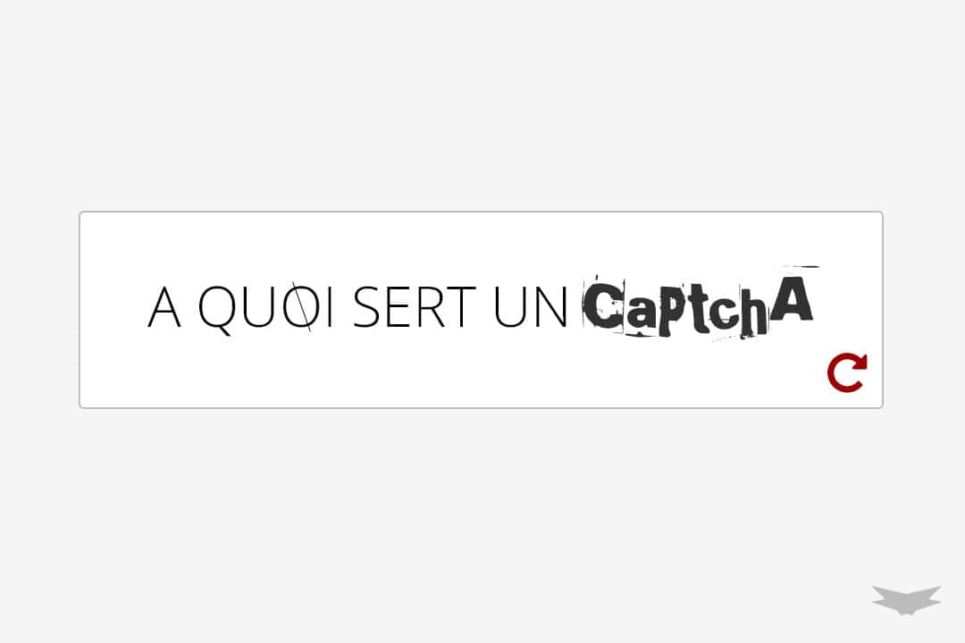 A quoi sert un Captcha ?