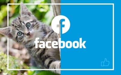 Publicité sur Facebook : pourquoi faut-il modifier vos visuels ?