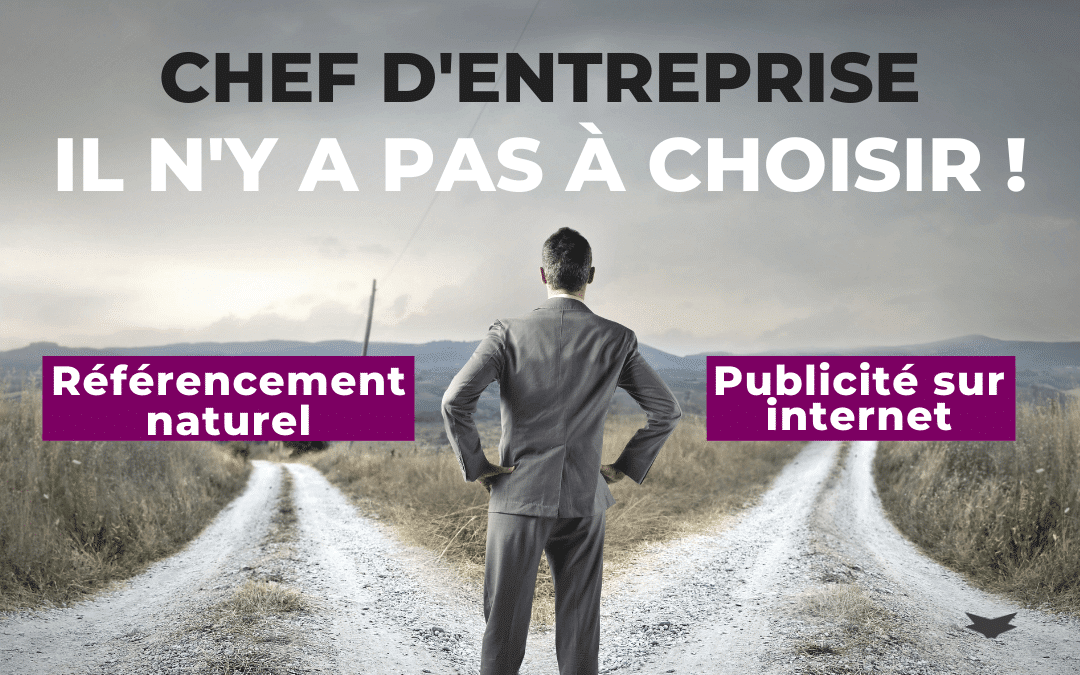 Référencement naturel ou publicité sur internet pour votre entreprise ?