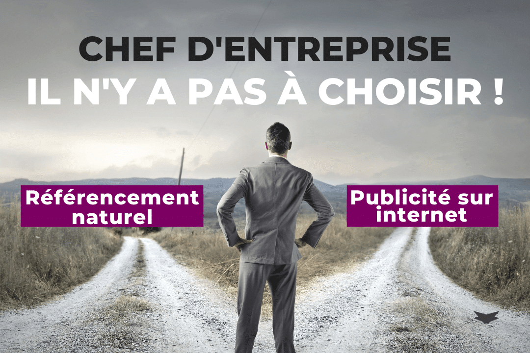 Referencement Naturel Publicite Internet Pour Entreprise