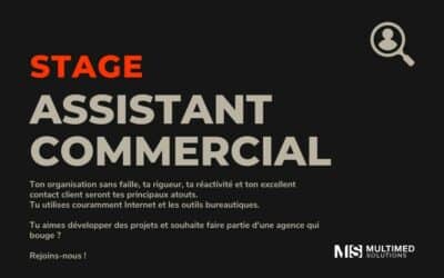 Stage assistant commercial Toulouse (H/F)