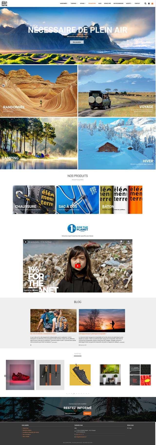 Aperçu annonce Google Ads